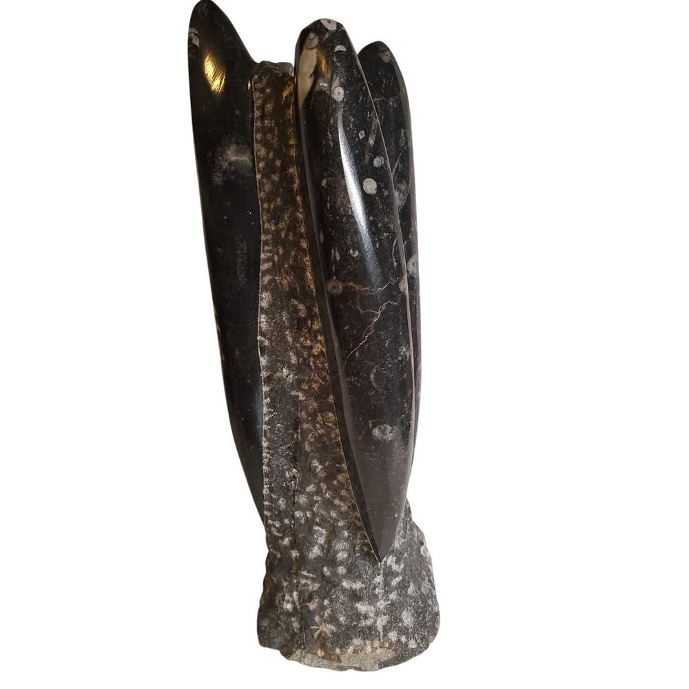 Black Fossils Orthoceras Sculpture Tower - 8"